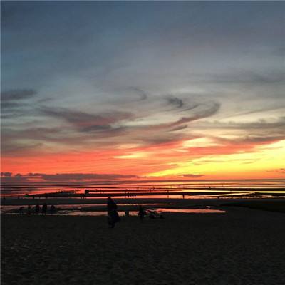 BOB体育APP官方下载