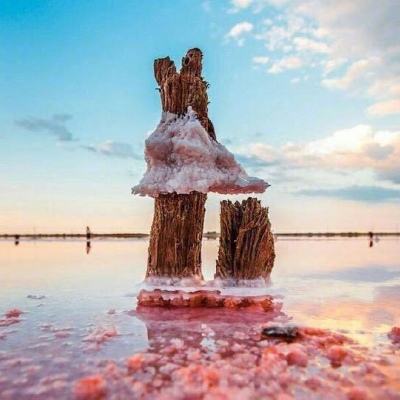 569vip威尼斯游戏截图