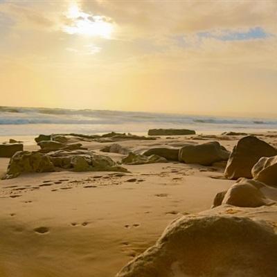 569vip威尼斯游戏